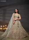 Pf 5778 Net Designer Lahenga Choli Wholesale Suppliers In Mumbai
